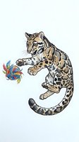 Spotted ocelot playing with colorful toy on white background, isolated clipart suitable for children's designs, t-shirts, and creative projects.