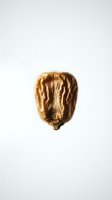 Single dried walnut shell half isolated on white background for culinary and natural food design projects.