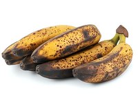 Ripe spotted bananas with brown marks on yellow peel isolated on white background, showing natural aging process of fruit, ready for cooking or baking.