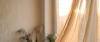 Sunlight streams through sheer curtains in a minimalist room with potted plants, creating soft shadows and warm golden light for interior design and home decor projects.