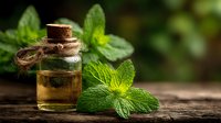 Natural mint essential oil in glass bottle with fresh green mint leaves on wooden surface for aromatherapy and wellness treatments.