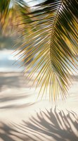 Golden palm frond casting shadows on sandy beach with soft bokeh background, tropical summer atmosphere creates serene coastal mood for resort marketing.
