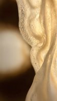 Macro close-up of human ear with golden skin tone and fine detail texture, suitable for medical, beauty, healthcare, and dermatology applications.