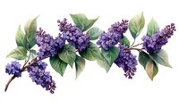 Purple lilac branch with green leaves in watercolor style, floral arrangement on white background, isolated botanical illustration for spring design projects.