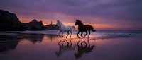 Two horses galloping along ocean beach at sunset with purple sky and mountain silhouettes reflected in wet sand creating dramatic seascape scene.