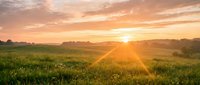 Sunrise over expansive green meadow with golden sunlight rays breaking through clouds, creating dramatic atmospheric lighting across rural landscape for nature and environmental projects.