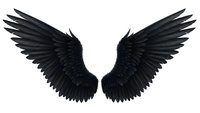 Black angel wings spread wide on transparent background, isolated design element for gothic themes, fantasy art, and creative projects.