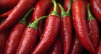 Fresh red chili peppers with water drops in macro view, showing vibrant color and texture. Natural organic produce for spicy food and cooking background.