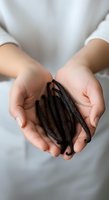 Woman holding fresh vanilla pods in cupped hands, wearing white shirt. Culinary ingredient for cooking, baking, and food preparation use.