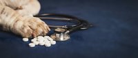 Close-up of animal paw with scattered white pills and stethoscope on dark surface, representing veterinary medicine, pet healthcare, and pharmaceutical treatment for animals.