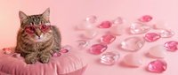 Adorable tabby kitten with pink heart-shaped glasses sitting on cushion surrounded by scattered pink crystal hearts on soft pink background for Valentine's Day.