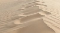 Smooth golden sand dunes with flowing rippled patterns created by wind erosion in arid desert landscape for travel and nature backgrounds.