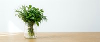 Fresh green herbs bouquet in glass jar on wooden table against white wall background for cooking and culinary decoration.
