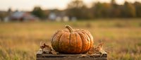 Orange pumpkin on wooden crate in autumn field during golden hour sunset. Harvest season decoration for fall festivals, thanksgiving and halloween celebrations.
