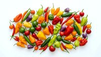 Colorful assortment of fresh hot chili peppers in various shapes and sizes on white background, perfect for culinary designs and spicy food concepts.