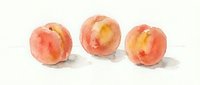 Watercolor painting of three ripe peaches with soft pink and orange hues on white background, perfect for kitchen decor and food illustration projects.