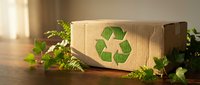 Eco-friendly cardboard box with green recycling symbol surrounded by fresh plants on wooden surface in warm natural sunlight for sustainable packaging.