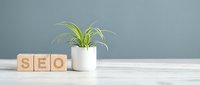 Wooden blocks spelling SEO next to green spider plant in white pot on desk, digital marketing and search engine optimization concept for business growth.
