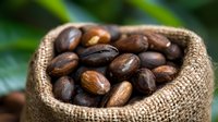 Fresh roasted coffee beans in burlap sack with green leaves background for cafe menu design and beverage marketing materials.
