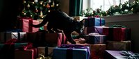 Woman with dark hair and light skin tone, wearing casual clothing, lying among colorful wrapped gift boxes in festive holiday setting with twinkling lights and decorated tree in background. Perfect for seasonal marketing, holiday promotions, and celebration-themed designs.