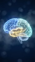 Glowing human brain with blue and yellow neon light effects on dark background, representing intelligence, neuroscience, and cognitive function for medical and educational use.