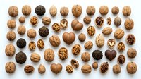 Assorted nuts collection featuring walnuts, hazelnuts, pecans and almonds arranged on white background. Healthy snacking and cooking ingredients.