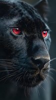Black panther with glowing red eyes close-up portrait showing detailed fur texture and whiskers for fantasy and horror themed designs.
