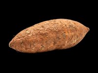 Fresh whole sweet potato isolated on transparent background, ready for stickers, clipart, print on demand, food packaging, and T-shirt design use.