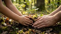 Adult and child hands planting young seedling in soil together outdoors, symbolizing environmental care, sustainability, and eco-friendly gardening practices for educational and conservation campaigns.