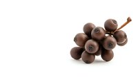 Cluster of dark brown wooden beads arranged in grape formation on white background, isolated decorative element for craft and jewelry making projects.