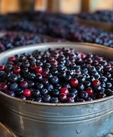 Fresh mixed berries including blueberries and red currants in rustic metal bowl, ideal for food photography, culinary content, healthy eating and ingredient styling.