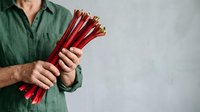 Mature male in green shirt holding bundle of red dynamite sticks against neutral background for safety, warning, or industrial design projects.