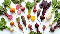Fresh organic root vegetables and leafy greens arranged on white background including beets, radishes, carrots, turnips and herbs for healthy cooking.