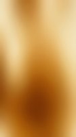 Smooth golden gradient background with warm amber tones transitioning from light to dark, creating elegant depth for luxury design projects.