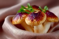 Fresh mushrooms with purple caps and golden glow growing in cluster, garnished with green herbs, macro photography on soft fabric background.