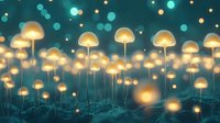 Glowing mushrooms in magical forest at night with bokeh lights creating ethereal atmosphere. Luminescent fungi on dark teal background with dreamy effect.