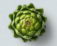 Fresh green artichoke bud close up view from above on light gray background, isolated. Natural organic vegetable with layered leaves pattern.