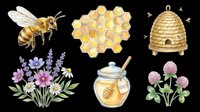 Honey bee with striped abdomen and transparent wings alongside honeycomb, skep hive, wildflower blooms, honey jar with dipper, and clover flowers. Isolated on transparent background, ready for t-shirt designs, clipart, stickers, and print-on-demand products.