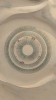 Concentric circles with green radiating lines and metallic accents on white background, isolated design element suitable for graphic design, web, print, and digital projects.