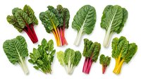 Fresh leafy greens collection featuring chard, bok choy and various vegetables isolated on white background for healthy cooking and nutrition concepts.