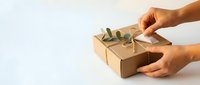 Hands holding kraft paper box with green eucalyptus branch on white background, eco-friendly packaging and sustainable gift wrapping concept for design projects.