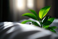 Fresh green leaves emerging from soft white bedding create dramatic light and shadow contrast, symbolizing growth, renewal and morning awakening.