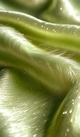 Soft green plant macro showing delicate fuzzy texture with water droplets and light reflections creating dreamy natural abstract background for wellness designs.