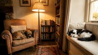 Cozy reading corner with comfortable armchair, bookshelf, warm lamp lighting and sleeping cat on windowsill creating peaceful home library atmosphere.