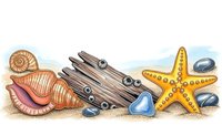 Seashells, driftwood and starfish collection on sandy beach. Marine treasures with pebbles for coastal decor, summer vacation and ocean themed designs.