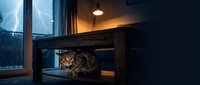 Tabby cat sheltering under wooden table during thunderstorm with lightning visible through window at night, cozy indoor scene.