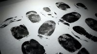 Fingerprints and palm prints isolated on white background, forensic evidence collection for criminal investigation, law enforcement identification, and biometric security applications.
