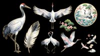 Elegant crane birds set isolated on transparent background, featuring flying and standing poses, feather, and floral medallion, ready for stickers, sublimation, and print on demand.