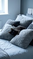 Black cat lounging among gray textured pillows on a bed in a minimalist bedroom with blue-gray walls and natural light from window.