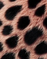 Pink leopard print fur texture with black spots for fashion design backgrounds and animal pattern projects.